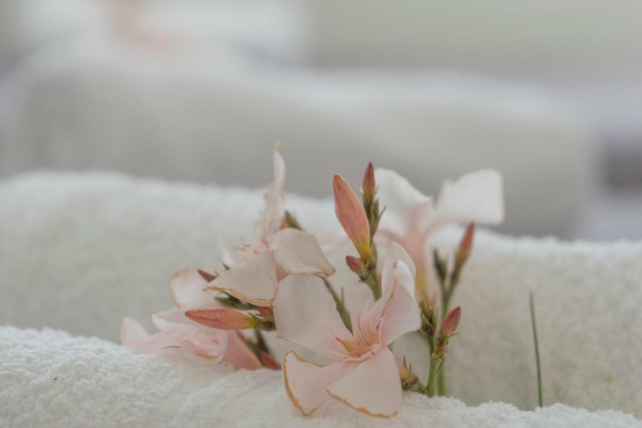 Margarita Apartment Perissa  Ngoại thất bức ảnh
